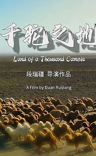 儿媳妇爸爸第一次上门要给红包吗：地方特产伴手礼选择参考